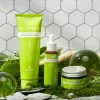 Biome Collection Bundle